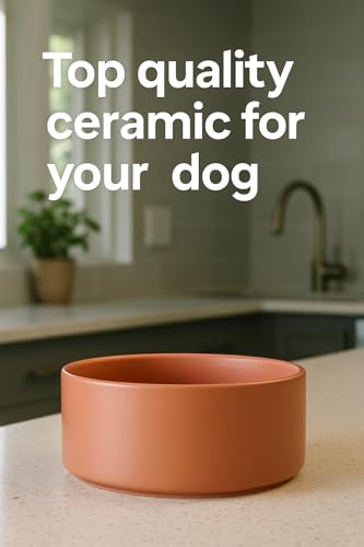 Hundenapf Keramik – hundenapf kleine Hunde – 200ml – spülmaschinengeeignet – rund beige – Flamingo Eram