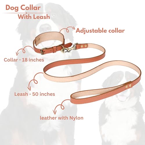 Ensemble collier et laisse pour chien en cuir souple marron clair 45cm - 4
