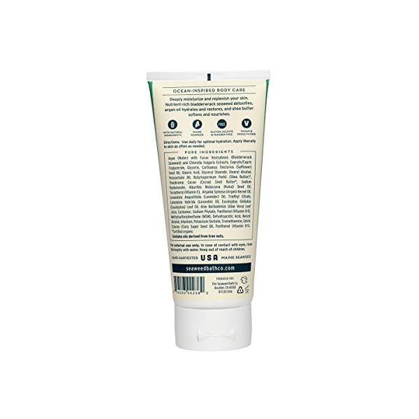 The-Seaweed-Bath-Co-Body-Cream-Lavender-Ivory-6-Ounce-800-060-BCLA Seaweed Bath Co. Hydrate Body Cream, Lavender Scent, 6 Ounce, Nourishing Hand & Body Lotion Moisturizer for Dry Skin, with Sustainably Harvested Seaweed, Kukui Oil, Hyaluronic Acid, Shea Butter