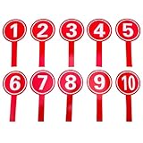 SEWACC 10 Stück Handheld Score Paddles, 1-10 Zahlen Einseitig Schaumstoff-Scoreboards Abstimmungsanzeigetafeln Auktionspaddel für Klassenzimmer, Party, Sport, 7.47X3.73X0.24Inches