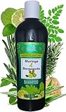 Bergamota & Moringa Shampoo 13.50 fl oz - Natural Ingredients | Sábila (Aloe Vera) | Romero (Rosemary) | Nogal (Walnut) | Promotes Moisturizes, Nourishes, Strengthens, Shines,