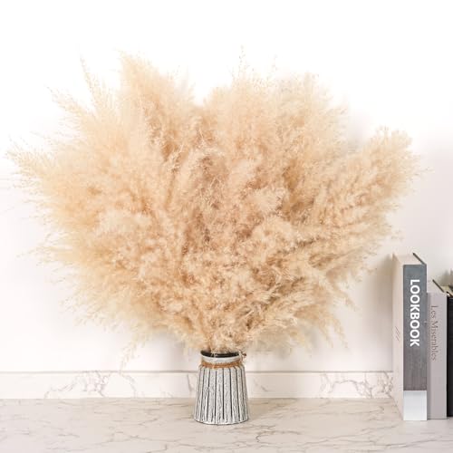 DATEFUN Pampas seco - 10 Piezas Flores Secas Naturales 43 cm - Decorativas para Decoración Boho, Home, Bodas y Fiestas Rústicas