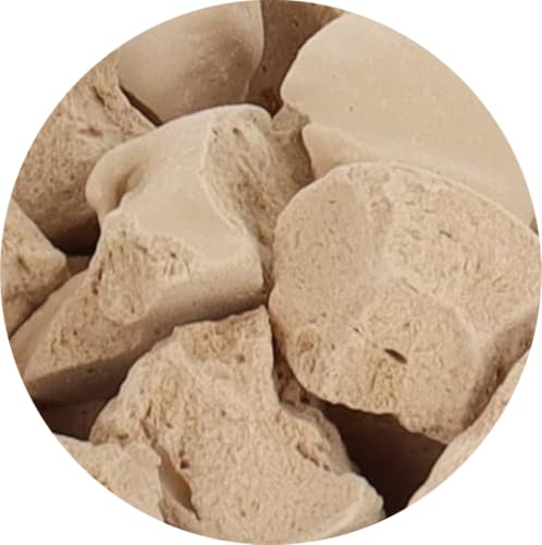 Arctic Farms Freeze Dried Ice Cream that Does Not Melt (Salted-Caramel, 1 Ounce)