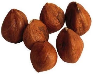 Raw Hazelnuts - Filberts (1 lb)