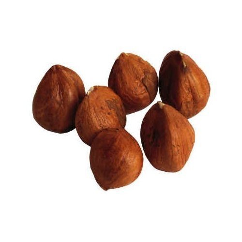 Raw Hazelnuts - Filberts (1 lb)