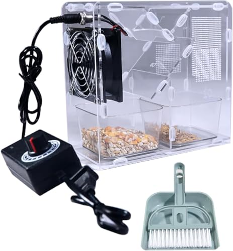 Limpiador eléctrico de semillas de grano con ventilador de velocidad ajustable, 2 graneros para un eficiente desgranado y cribado, desmontable para una fácil limpieza