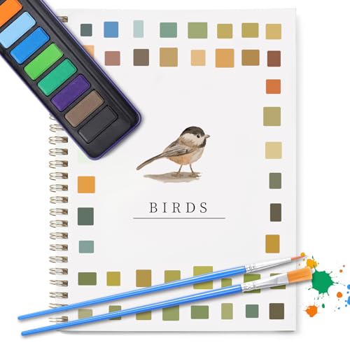 Dancart Beginner Watercolor Kit
