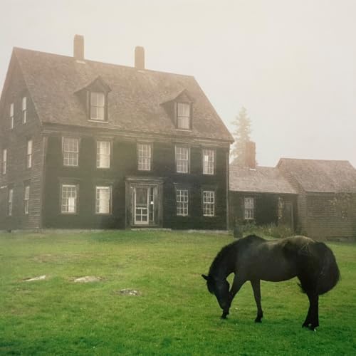 The Academy - Meadow Green