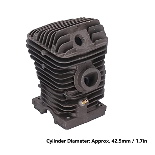 Substituição do Cilindro de 42.5mm, Jogo da Cabeça do Cilindro 42.5mm, Acessórios Dos Grampos Dos An