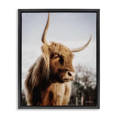 Cattle Gazing Rural Landscape, 17 x 21 Inch Canvas in Floater Frame
