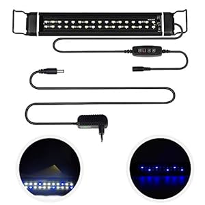 CPROSP LED Acquario con Timer, con 3 Colori di Luce Regolabili Bianco/Blu/Blu + Bianco, per Acquari 46-63 cm, 24 W, Nero