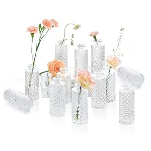 ComSaf Glass Bud Vases Set of 12, Small Diamond Bud Vases in Bulk, Mini Flowers Vases for Centerpieces, Vintage Bottle for Table Decorations, Wedding Decor, Recepetion, Home, (Clear)