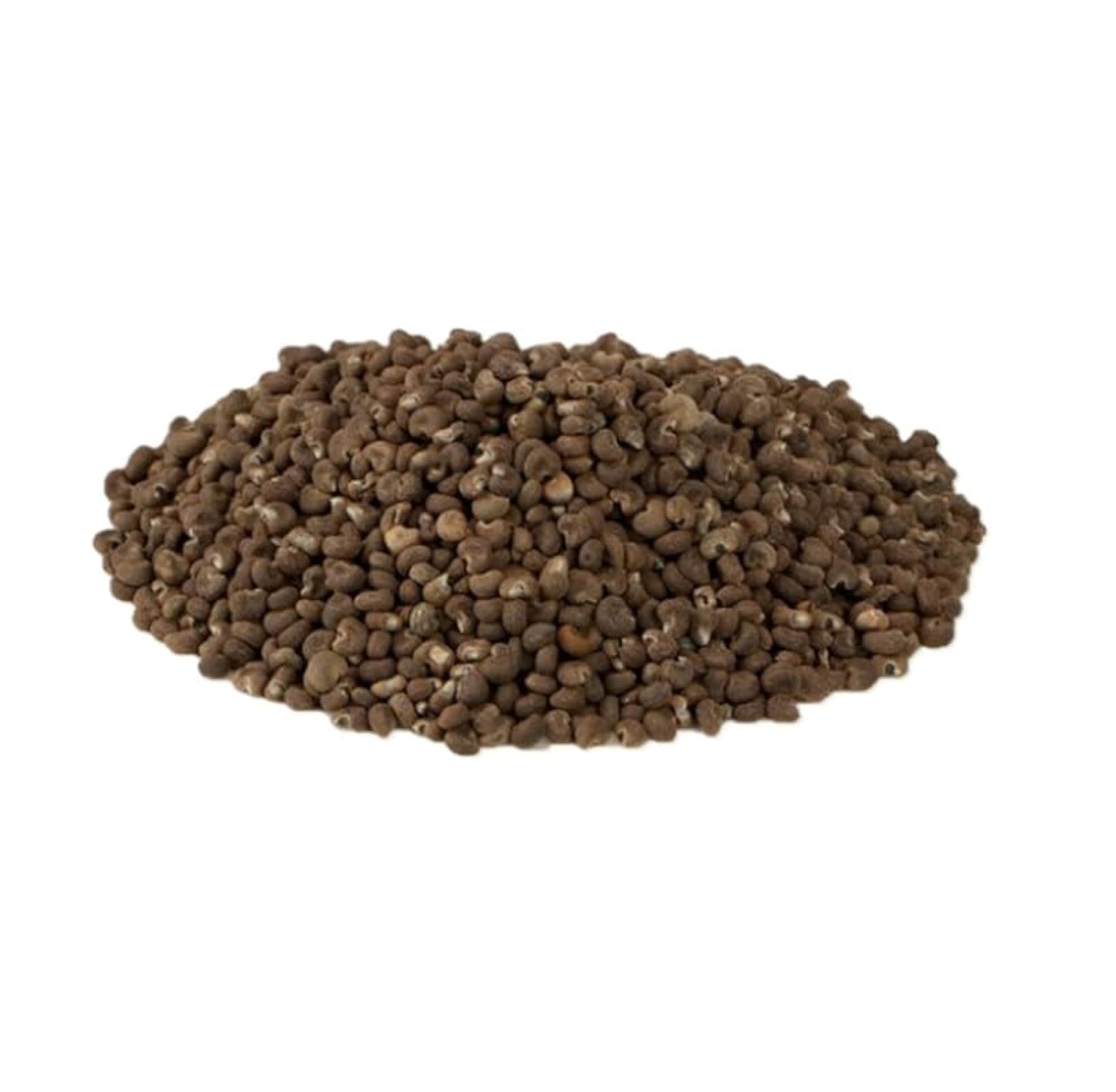 Musk Dana Seeds 100 GM, Natural Health Supplement