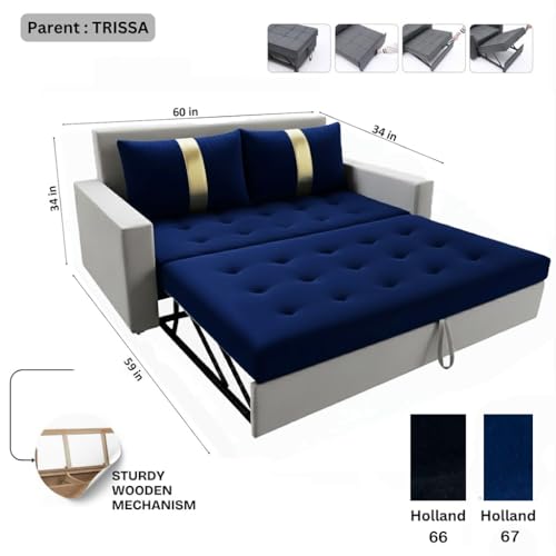 Image of FURNY Tressa 2 Seater Fabric Pull-Out Sofa Cum Bed (Light Grey-Dark Blue) Premium Velvet Finish | Durable Comfort | Ideal for Living Room