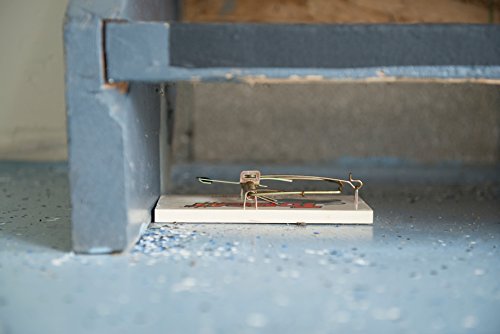 Image of Tomcat Rat Trap (Wooden), 1 Trap (Pack of 2)