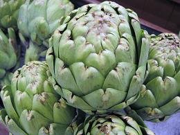 Imperial Star Artichoke Seeds - 25+ Per Packet