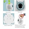 Thrower Machine for Small Size Dogs