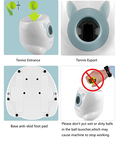 Thrower Machine for Small Size Dogs