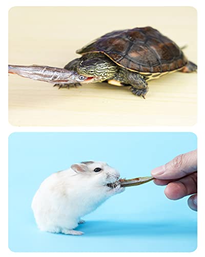 Bnyee 7 Oz Dried River Fish - 100% Natural Food For Turtles, Terrapins, Cats, Reptiles, Large Tropicals,Rodents #TOP5