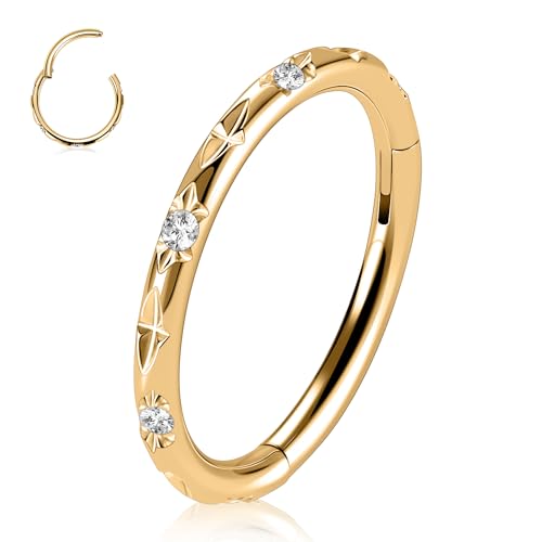 FUNLMO 20G 18G 16G 12G Nose Ring Hoop Conch Rook Daith Helix Tragus Piercing Jewelry 316L Surgical Steel Cartilage Earring Conch Hoop Earring Septum Jewelry Belly Lip Ring 5mm to 14mm cubic zirconia