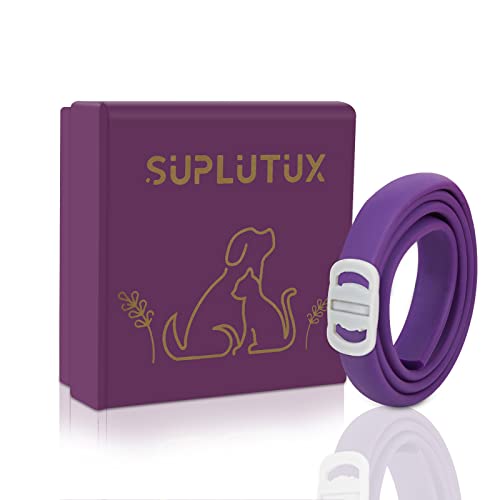 Hundehalsband Mit Pfotenabdruck & Glöckchen – Nylon, Verstellbar, Größe S (15-30 Cm) Oder M (25-40 Cm), Limettengrün