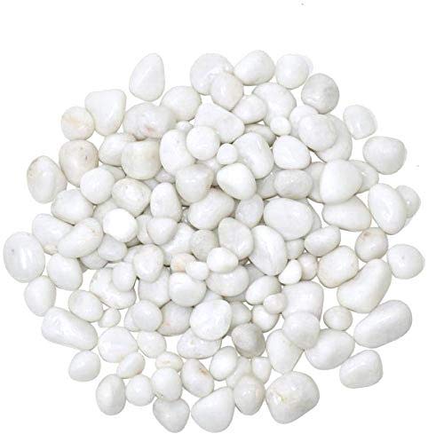 Creative Farmer 10Kg White Pebbles for Aquarium Decoration/Bamboo Plants Pebbles for Garden Pots & All Purpose Pack (B08282V6TD) Amazon Price History, Amazon Price Tracker