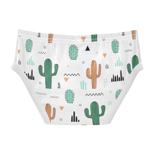 Cactus Toddler Boy's Underwear 2T 202c16292
