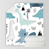 RFFLUX 3D Dino Kuscheldecke 150x200 cm Microfaser Flanell Decke Dinosaurier Wohndecke Sommer Leichte Weiche Winter Warme Blanket Tagesdecke Sofadecke Couchdecke（Stil 28-14）