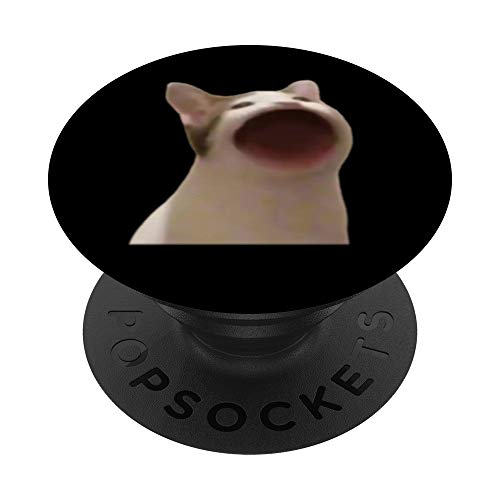 Wide Mouth Cat Meme Popping Cat Meme Singing Cat Meme PopSockets PopGrip - Support et Grip pour Smartphone/Tablette avec un Top Interchangeable