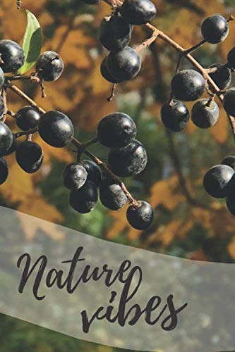Nature Vibes