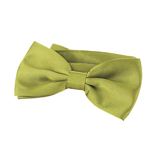 DonDon Gravata homem gravata verde pistache já amarrado ajustável