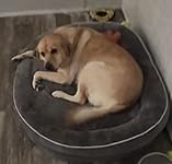 Review Image by Angel Angel