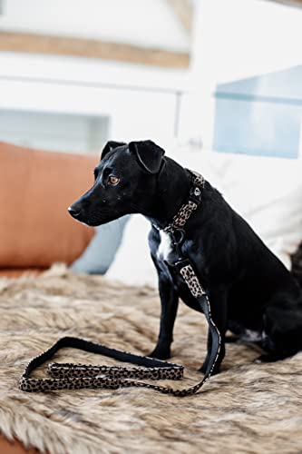 Longe pour chien 1m20 leopard gris pour balade urbaine sure