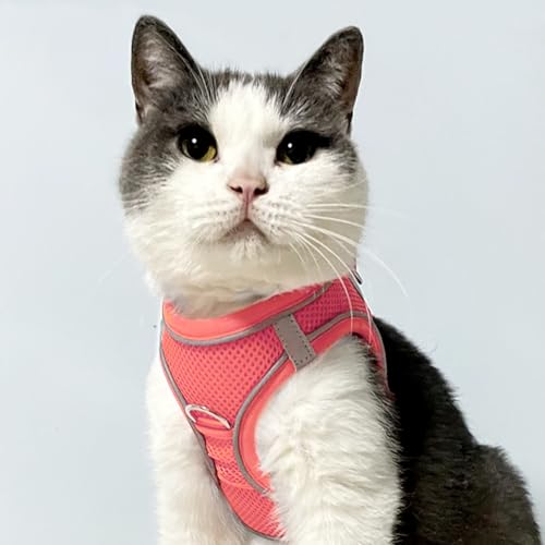 Joytale Step in Dog Harness,Soft Mesh Reflective Breathable Vest Harnesses,Easy Walk Harness with Safety Buckle for Cat,Puppies and Extra Small Dogs,XXS,Pink - Image 2