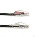 Black Box 100FT Black CAT5e Locking Patch Cable 350MHz UTP CM Snagless