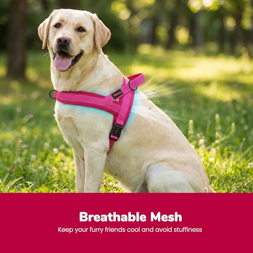 Image of Didog No Pull Dog Harness for Large Dogs, Breathable Mesh Padded,Hot Pink,L