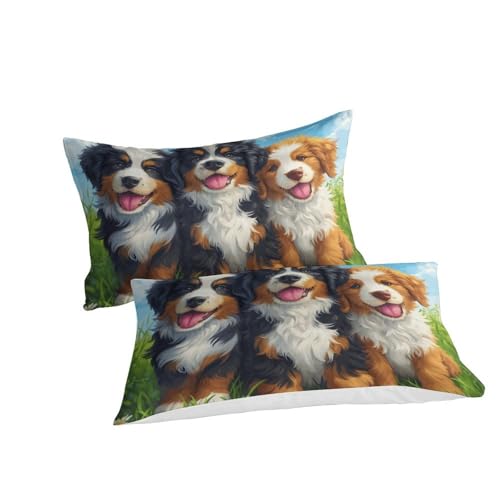 Parure de lit 3pcs microfibre évite la corvée du repassage fermeture éclair - 3