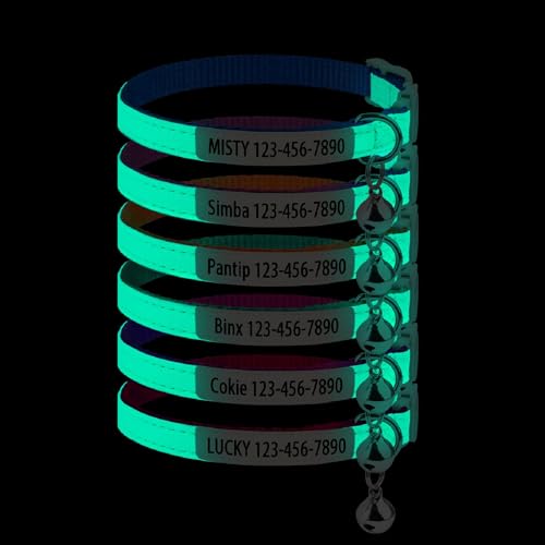 Custom Glow in The Dark Cat Collar