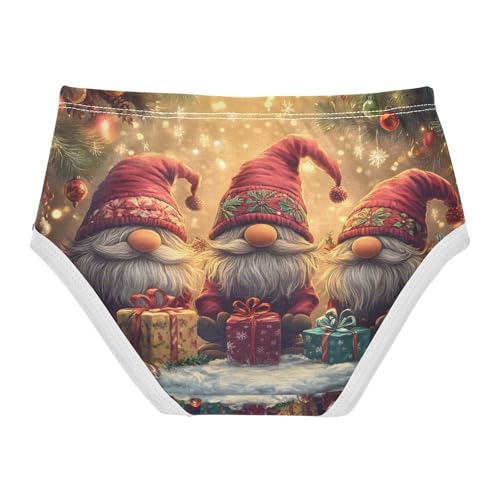 Christmas Three Gnomes Toddler Girls's Underwear 2T 202b86372