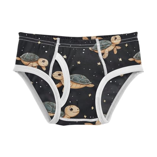 Wusikd Turtles Stars Boys' Underwear Cotton Galaxy Boys Briefs Soft Toddler Underwear 2T