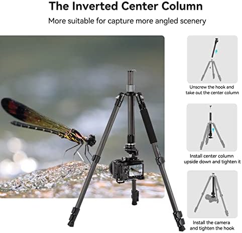 SMALLRIG 62" Carbon Fiber Camera Tripod, AP-20 Lightweight Travel Tripod Monopod with Center Column, 360°Ball Head, Quick Release Plate for Arca-Swiss, Load up to 26.5 lbs/12 kg - 4059