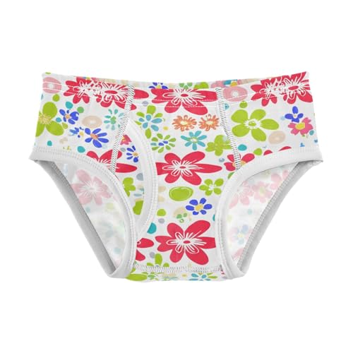Colorful Flowers Red Petals Toddler Boy's Underwear 2T 202c1208