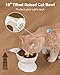 MateeyLife Raised Cat Bowls, Cat Food Bowl Elevated for Kittens & Small Dogs, 15°Tilted Protect Pets' Neck and Anti Vomiting, Whisker Friendly Food & Water Feeding Bowl, 6 oz Each - White