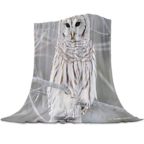 Greeeen Plush Fleece Throw Blanket | Fuzzy, Soft, Warm, Cozy, Reversible Blanket for Bed Couch Sofa Chair Travel- 39 x 49 Winter Owl