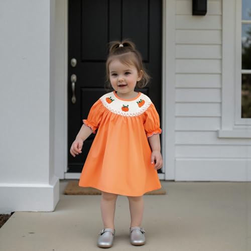 Little Kids Toddler Girl Halloween Outfits Clothes Pumpkin Embroidery Long Sleeve Plaid Fall Smocked Dress 1-7T4