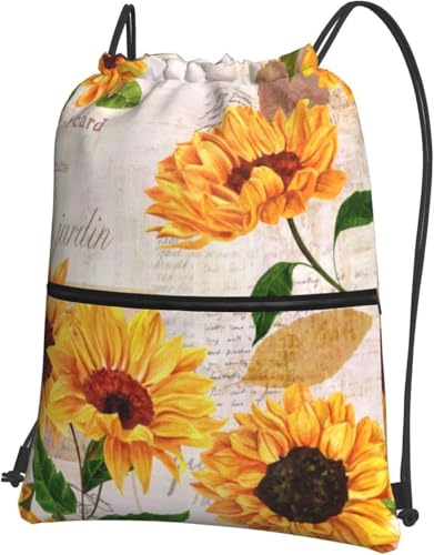 [ESASAV] q} ԕ ͂ WTbN ibvTbN В ̑ ւ ʉ ʊw LbYobO ۈ牀 ct w 