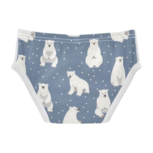 Wusikd Cute White Polar Bears Boys' Underwear Cotton Boys Briefs Soft Toddler Underwear 2T2