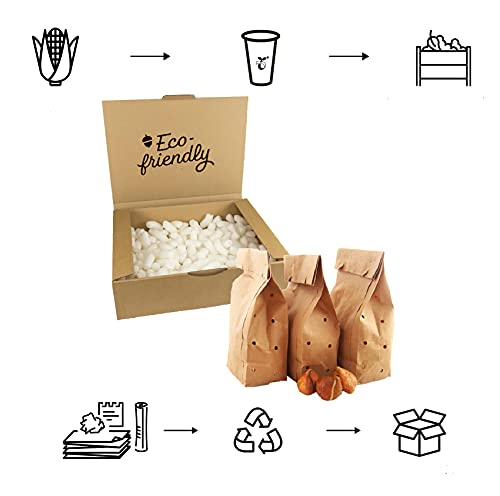 50 x Scilla Siberica - bloembollen - Afbeelding 5