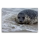 HD Bildqualität: Faksmimilequalität auf Spezial-Leinwand. Der verwendete Bedruckstoff ist eine speziell für uns produzierter, besonders fein gewebter, dimensionsstabile Kunstgewebe-Leinwand. Thermo-Sublimationsdruck überzeugt bezüglich Haltbarkeit, Abriebfestigkeit, Lichtbeständigkeit, Auflösungsvermögen und Farb-Brillanz