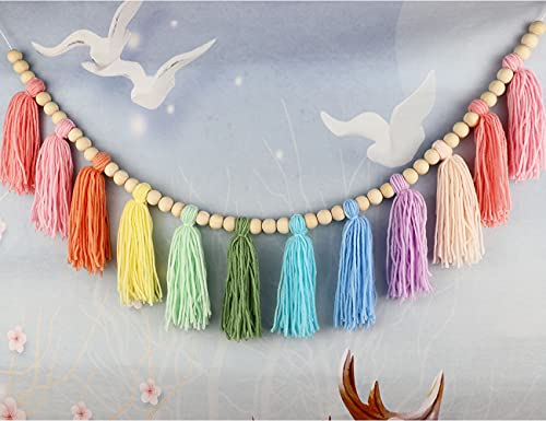 Cotton Tassel Garland Pastel Banner, Colorful Party Backdrop Decorative Wall Hangings Llama Decorations For Bedroom,Nursery Dorm Room,Birthday,Baby Shower, Girls Boho Home Decor Gift (Light 1 Pack) #TOP1